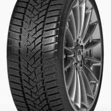 dunlop_wintersport5-22